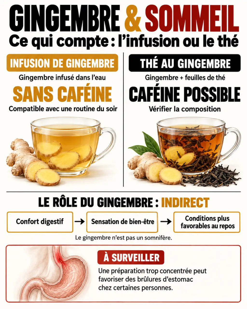 Infographie sur le gingembre et le sommeil, entre infusion sans caféine, confort digestif et risque de brûlures