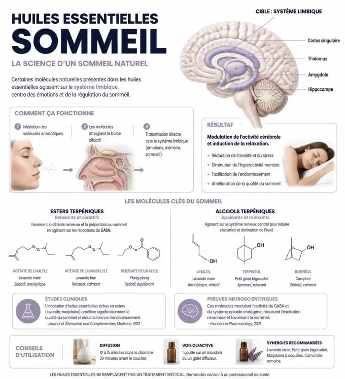 Infographie sur les bienfaits des huiles essentielles pour le sommeil et l'endormissement
